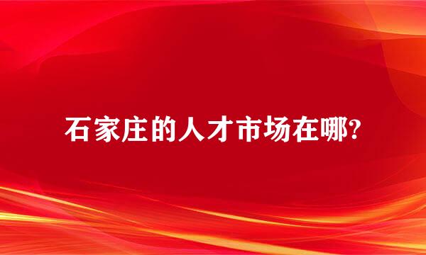 石家庄的人才市场在哪?