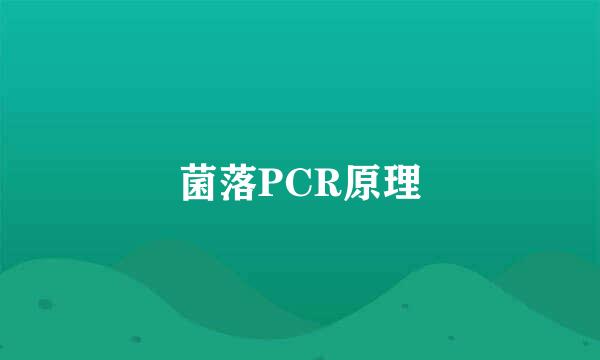 菌落PCR原理