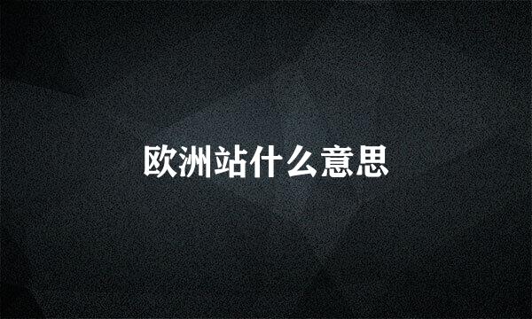 欧洲站什么意思