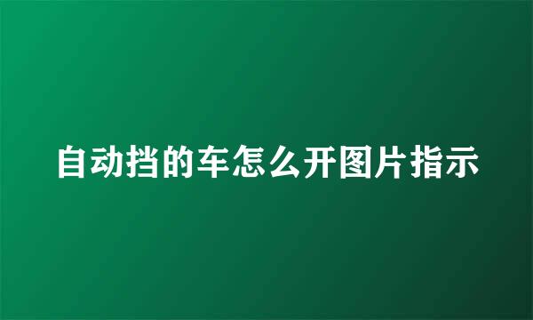 自动挡的车怎么开图片指示