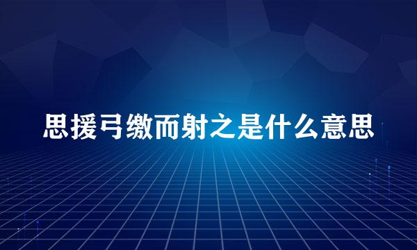 思援弓缴而射之是什么意思