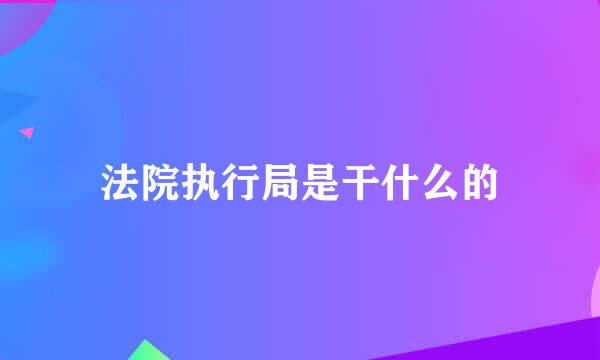 法院执行局是干什么的