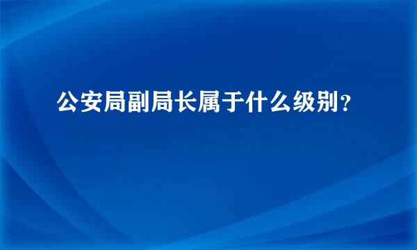 公安局副局长属于什么级别？