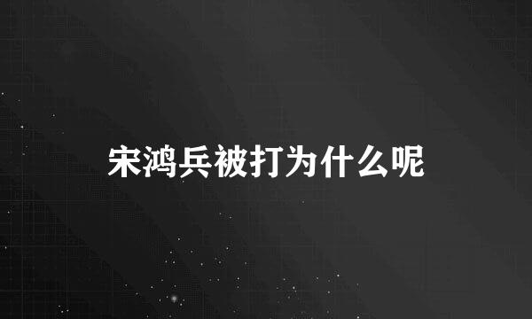 宋鸿兵被打为什么呢