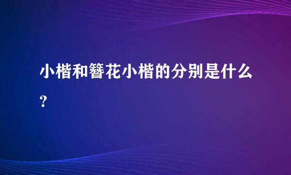 小楷和簪花小楷的分别是什么？