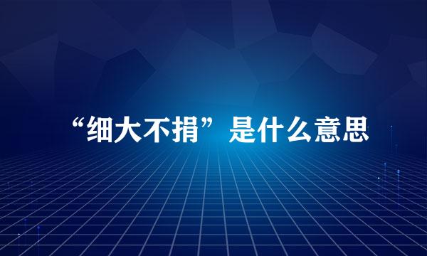 “细大不捐”是什么意思