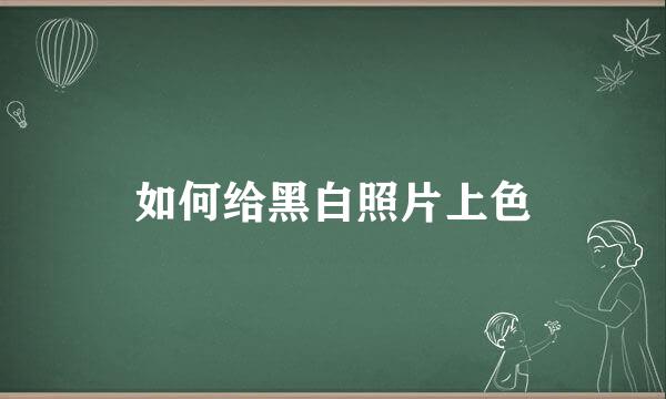 如何给黑白照片上色