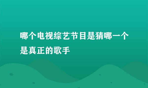 哪个电视综艺节目是猜哪一个是真正的歌手