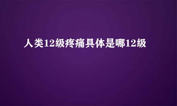 人类12级疼痛具体是哪12级