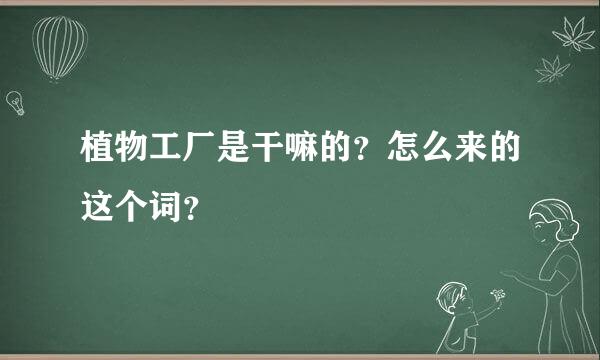 植物工厂是干嘛的？怎么来的这个词？