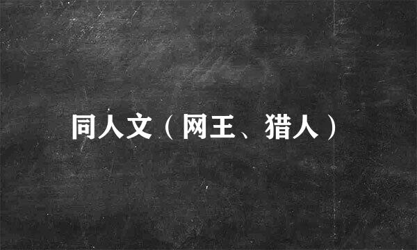 同人文（网王、猎人）