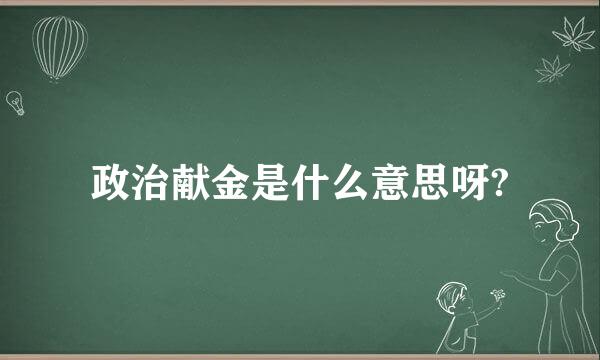 政治献金是什么意思呀?