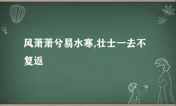 风萧萧兮易水寒,壮士一去不复返