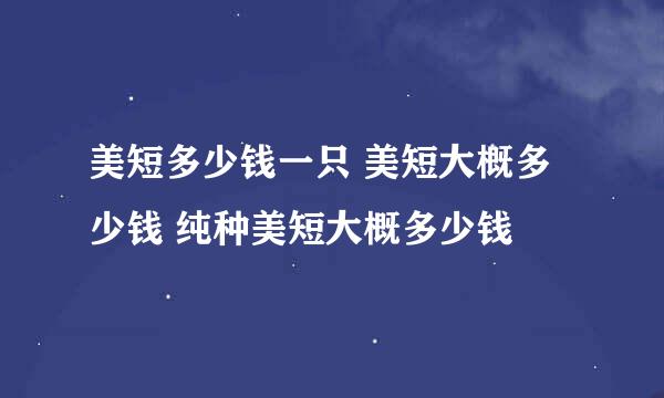 美短多少钱一只 美短大概多少钱 纯种美短大概多少钱