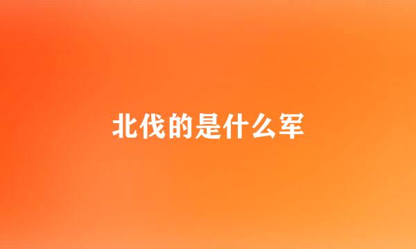 北伐的是什么军