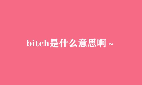 bitch是什么意思啊～