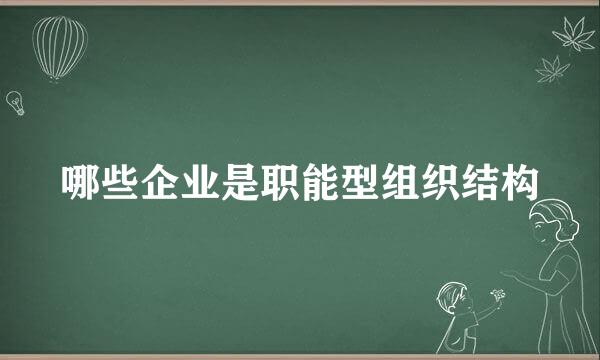 哪些企业是职能型组织结构