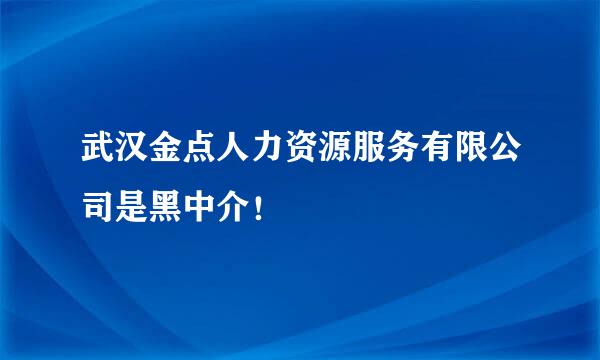 武汉金点人力资源服务有限公司是黑中介！