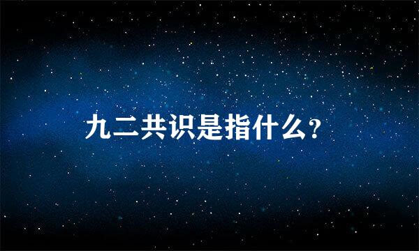 九二共识是指什么？