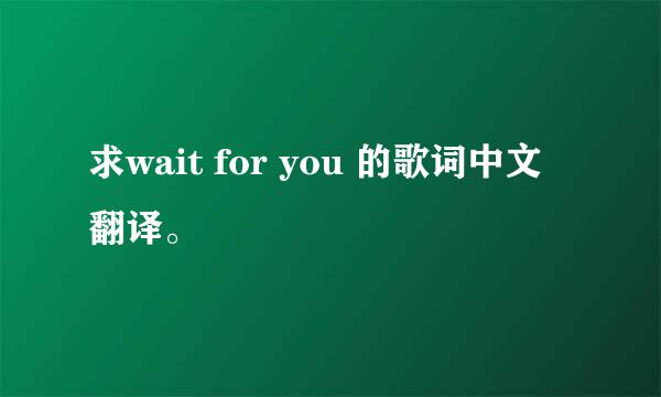 求wait for you 的歌词中文翻译。