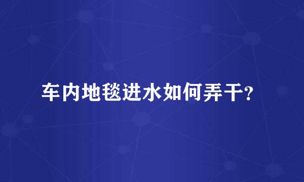 车内地毯进水如何弄干？