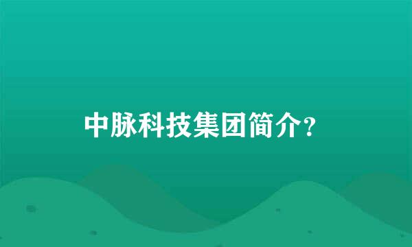 中脉科技集团简介？