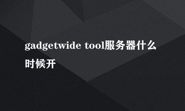 gadgetwide tool服务器什么时候开