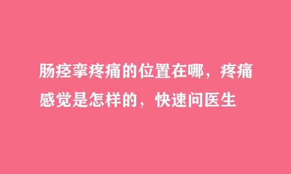 肠痉挛疼痛的位置在哪，疼痛感觉是怎样的，快速问医生