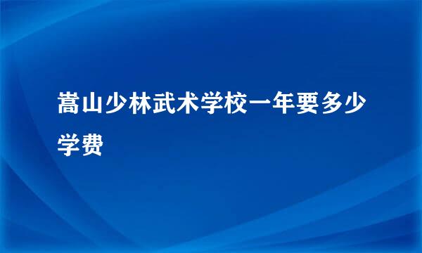 嵩山少林武术学校一年要多少学费