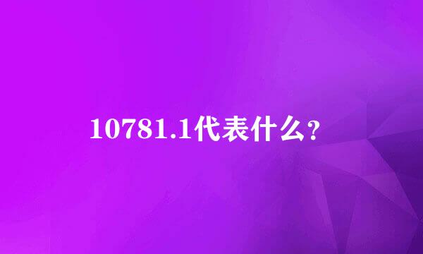 10781.1代表什么？