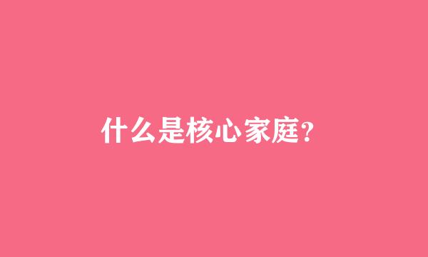 什么是核心家庭？