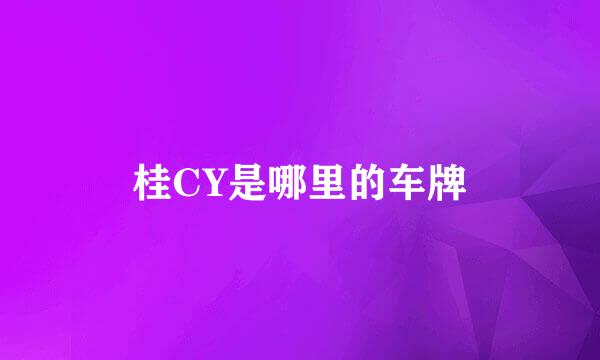 桂CY是哪里的车牌