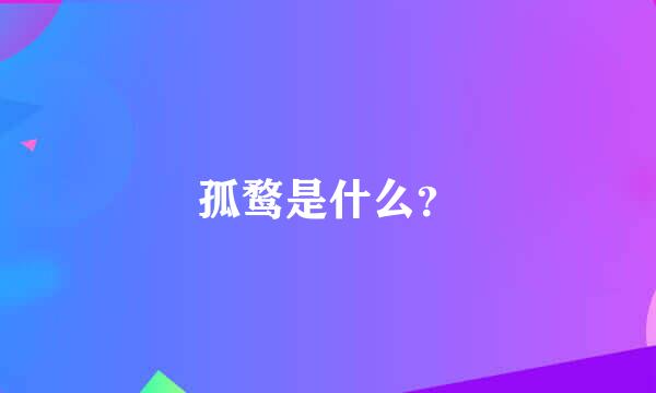 孤鹜是什么？