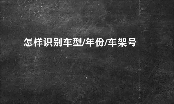 怎样识别车型/年份/车架号