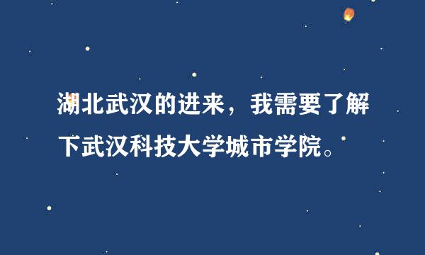 湖北武汉的进来，我需要了解下武汉科技大学城市学院。