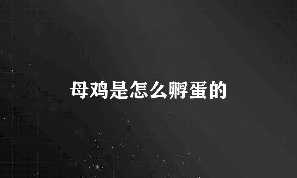 母鸡是怎么孵蛋的