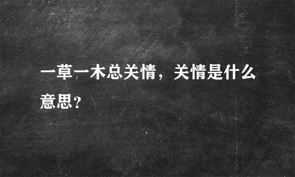 一草一木总关情，关情是什么意思？