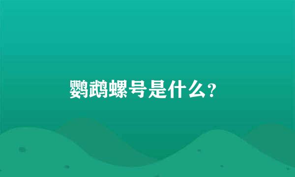 鹦鹉螺号是什么？