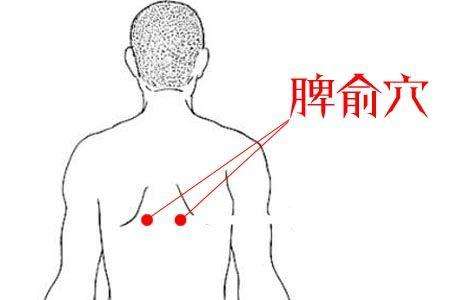 自己怎么才能准确找到脾俞穴