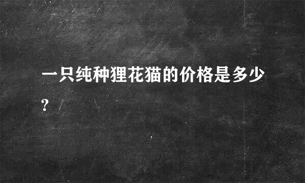 一只纯种狸花猫的价格是多少?