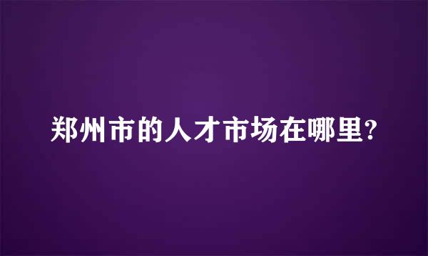 郑州市的人才市场在哪里?