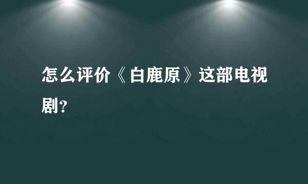 怎么评价《白鹿原》这部电视剧？