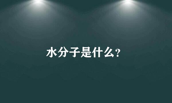 水分子是什么？