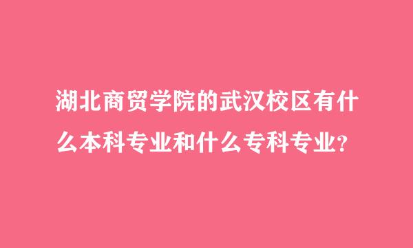 湖北商贸学院的武汉校区有什么本科专业和什么专科专业？