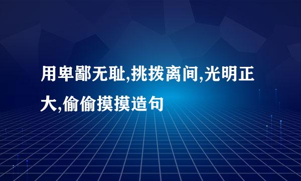 用卑鄙无耻,挑拨离间,光明正大,偷偷摸摸造句