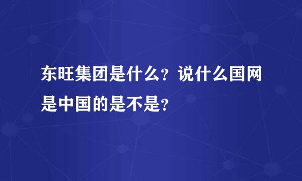 东旺集团是什么？说什么国网是中国的是不是？