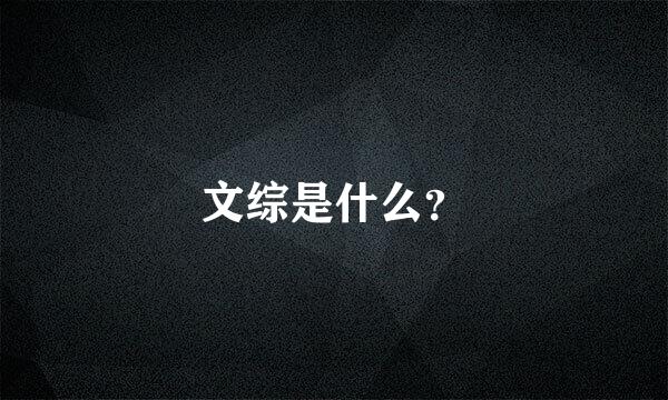 文综是什么？