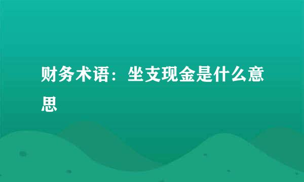 财务术语：坐支现金是什么意思