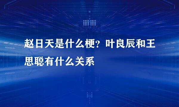 赵日天是什么梗？叶良辰和王思聪有什么关系