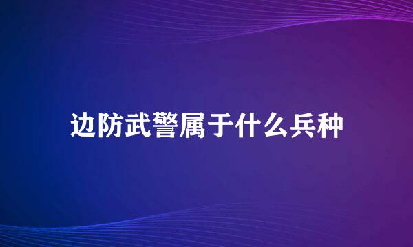 边防武警属于什么兵种